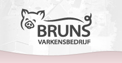 Logo en huisstijl ontwerp Varkensboerderij Bruns in Saasveld, Dinkelland